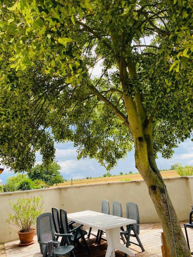 Gite Spa La Grange Kintzheim Exterior foto
