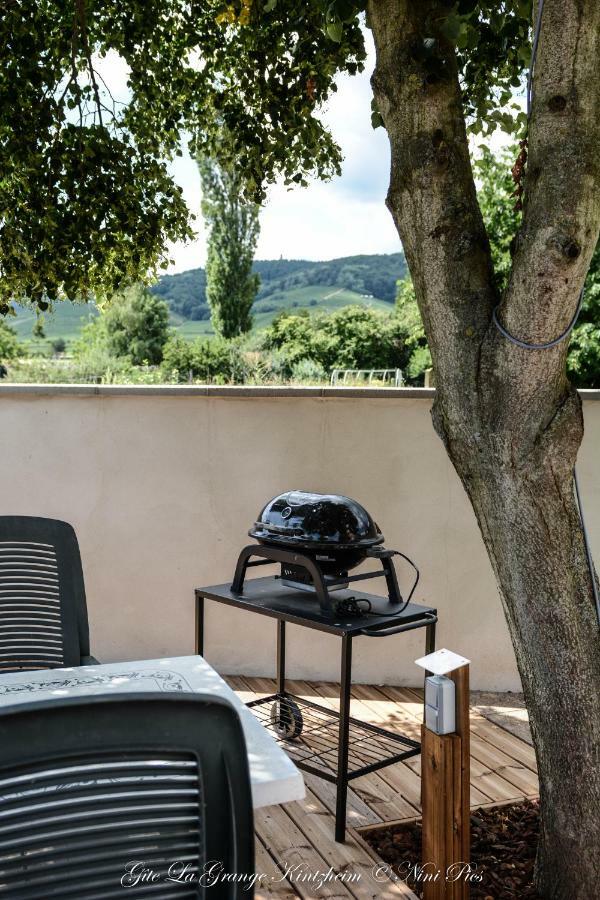 Gite Spa La Grange Kintzheim Exterior foto